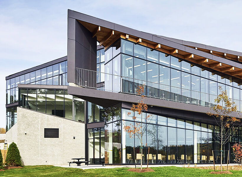 Economic Resilience, Leadership, and Innovation