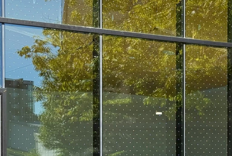 A wall of bird-safe windows at the student centre