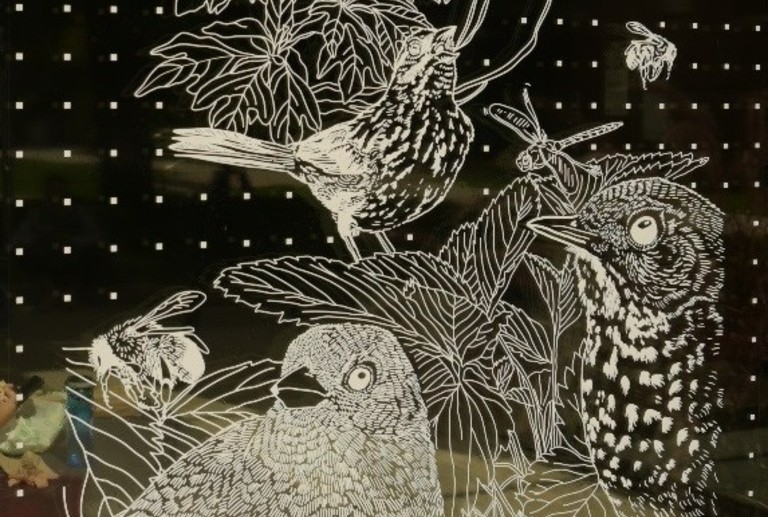 A demonstrate of bird-safe window decals